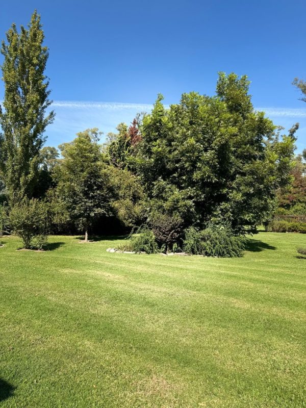 CASA EN B° SANTA MATILDE, COMARCAS - Imagen 30