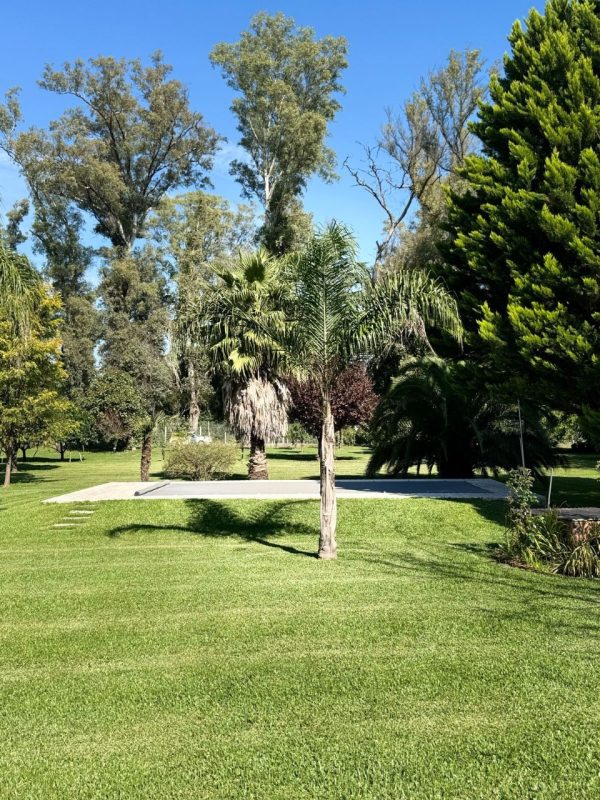 CASA EN B° SANTA MATILDE, COMARCAS - Imagen 29