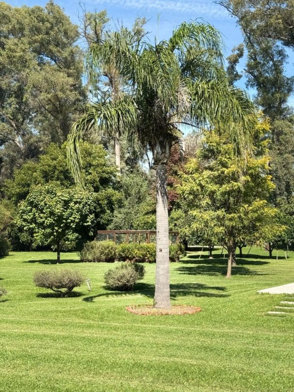 CASA EN B° SANTA MATILDE, COMARCAS - Imagen 27